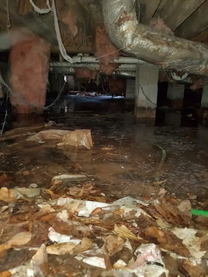Crawl space flood assessment for Leak Detection & Repair in Waupun